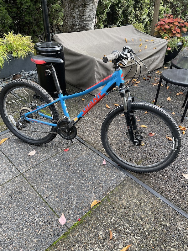 veason 29er