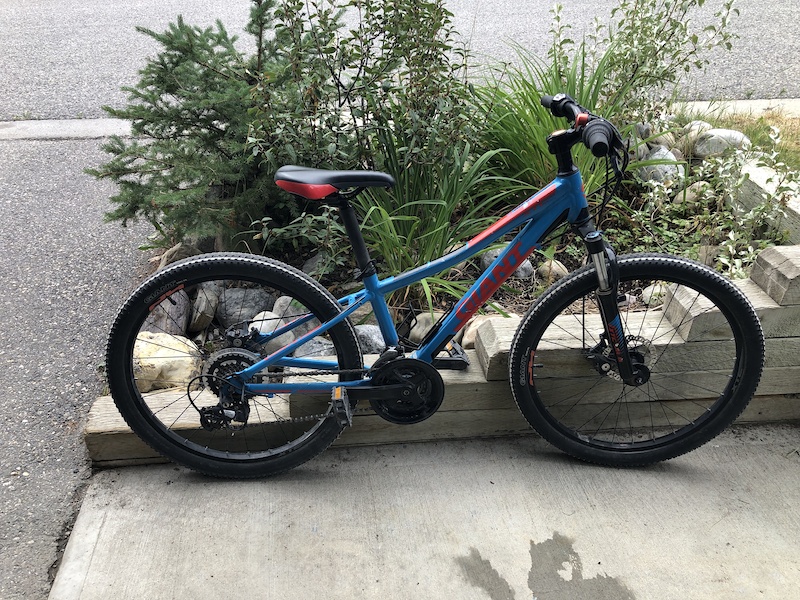 2017 giant xtc jr 24