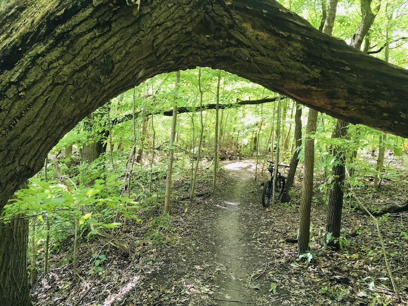 Turkey Point Mtb Turkey Point Provincial Park, Turkey Point Mountain Biking Trails ...