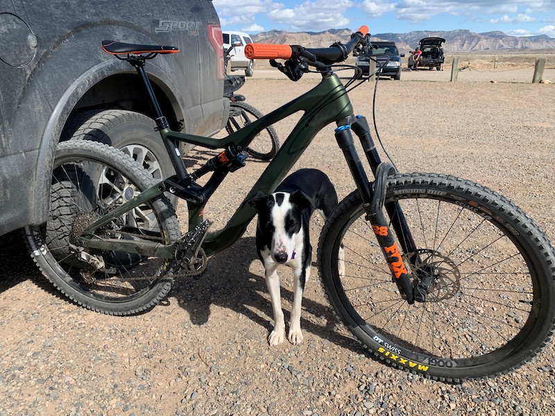 orbea rallon 2021 test