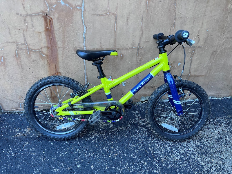 raleigh rowdy 20 green