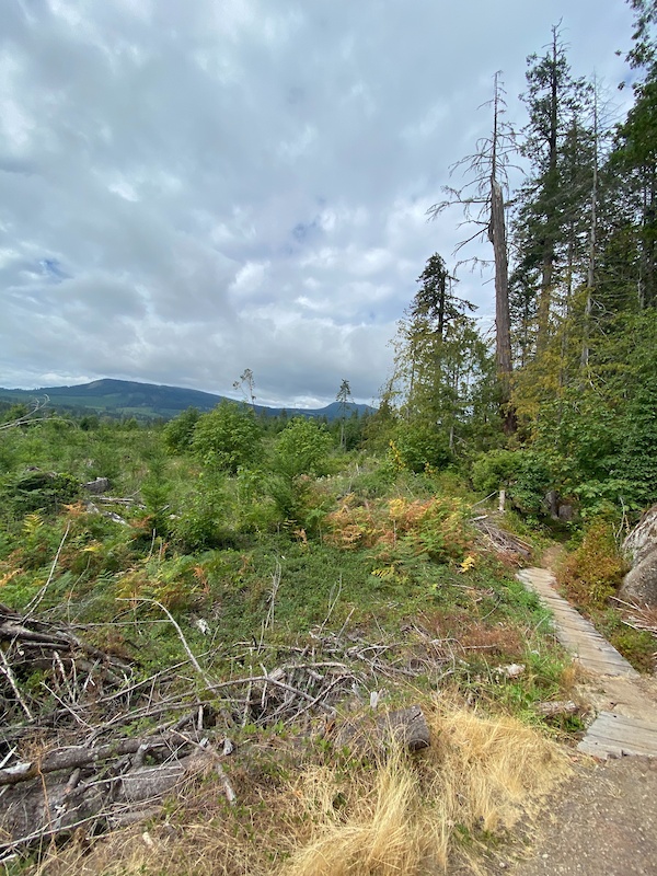 Creeper Mountain Biking Trail Nanaimo, British Columbia