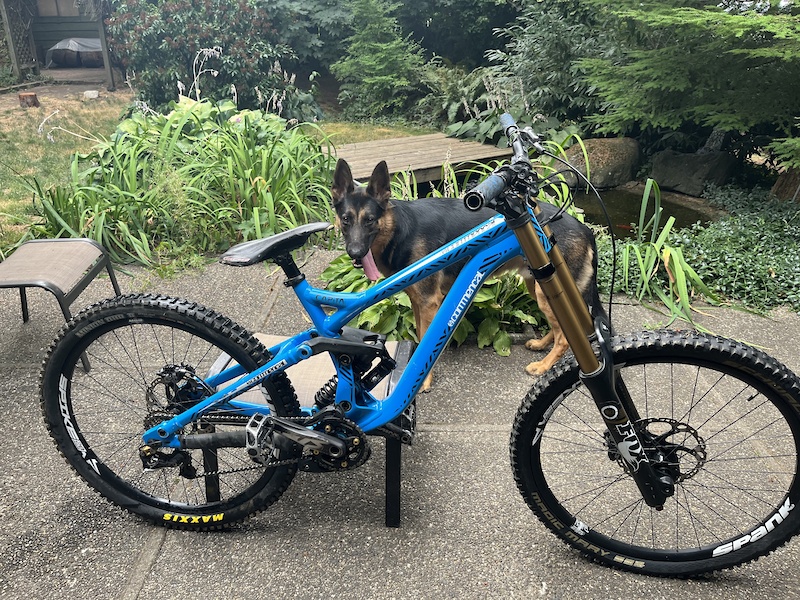 2012 Commencal Supreme DH racing For Sale