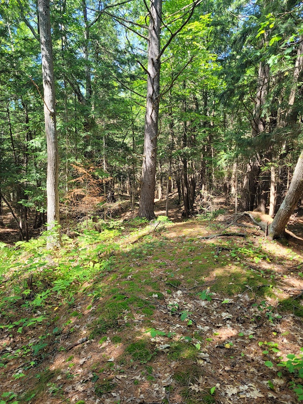 Southwood to Nine Mile Lake Hiking Trail Muskoka Lakes Township, ON