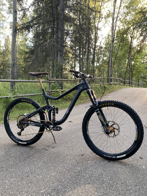 giant reign custom paint