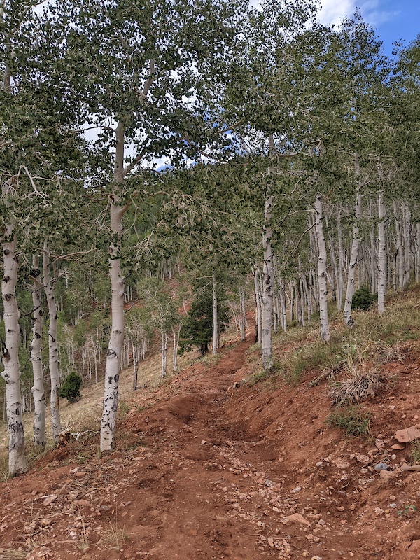 Upper Spinal Tap Mountain Biking Trail Richfield, Utah
