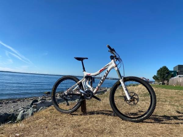 pivot firebird mullet