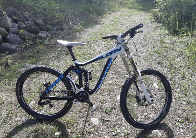 giant glory for sale