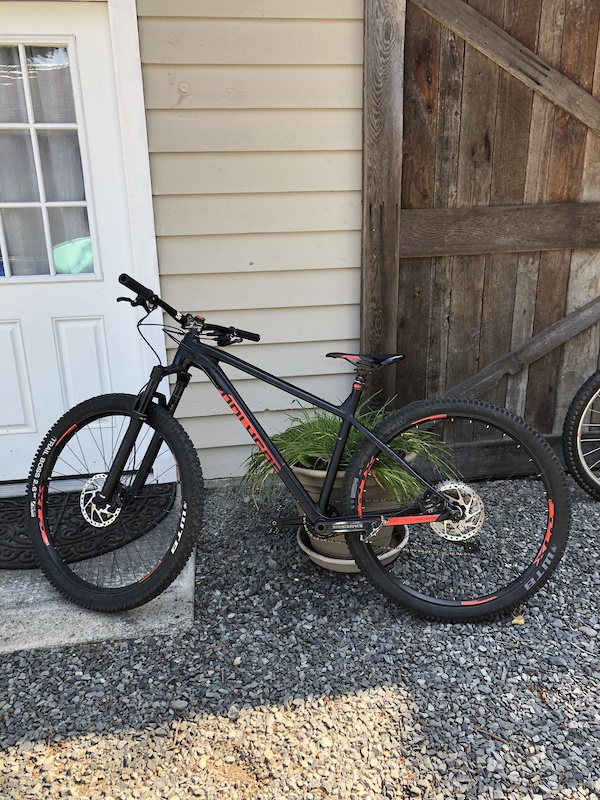 Polygon diablo 29 and trail 2024 mountain bike