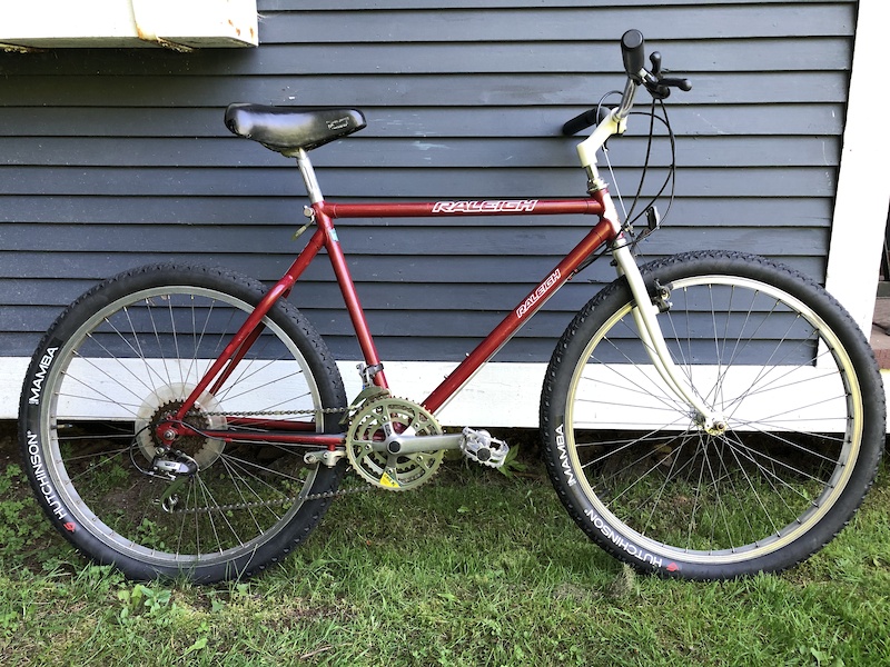 raleigh cruiser