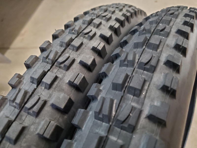 maxxis dhf 29 2.4