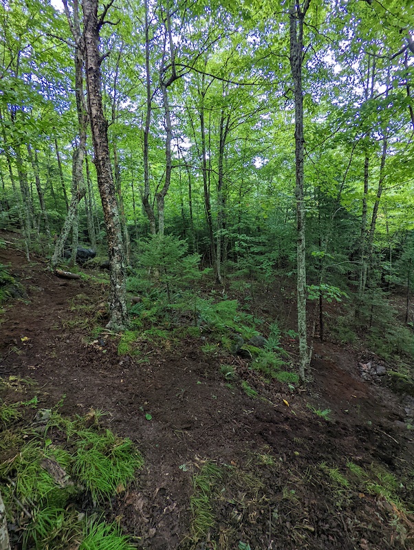 in Quispamsis, New Brunswick, Canada photo by Matturalistic Pinkbike
