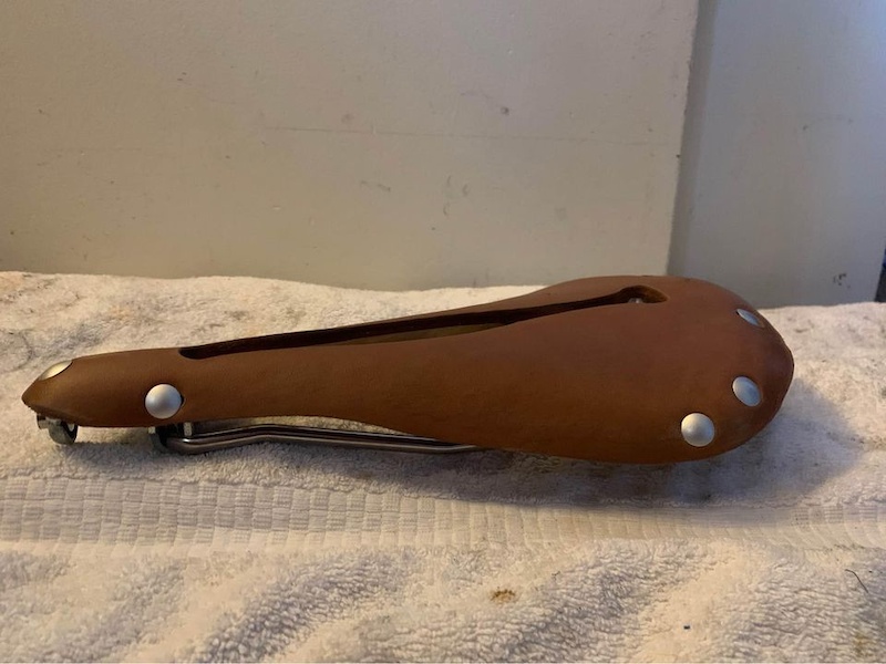 selle anatomica saddle