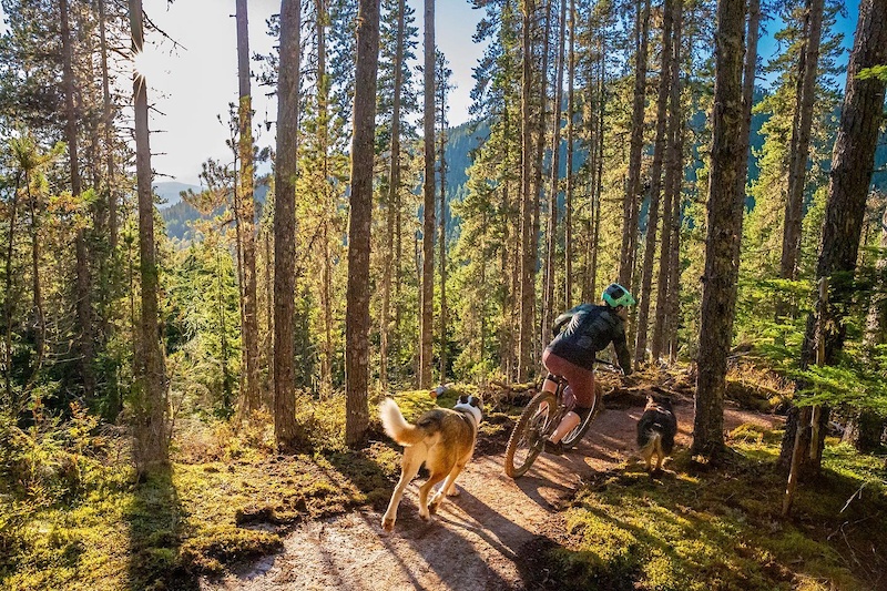 Billey GOAT Blue Mountain Biking Trail - Terrace, BC