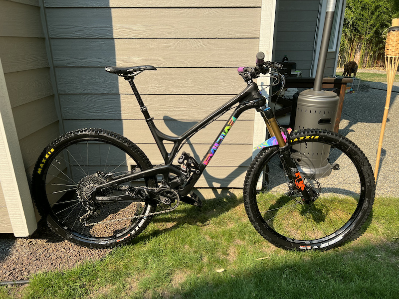 evil offering frank the tank