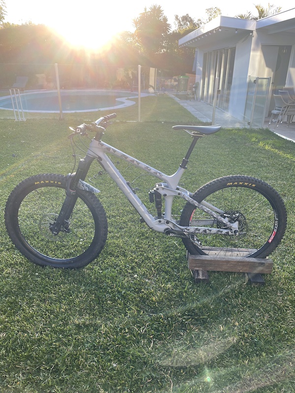 2019 trek remedy 9.9