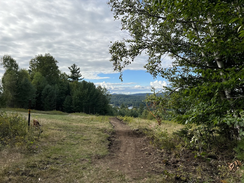 Long Lake, New York Mountain Biking Trails Trailforks