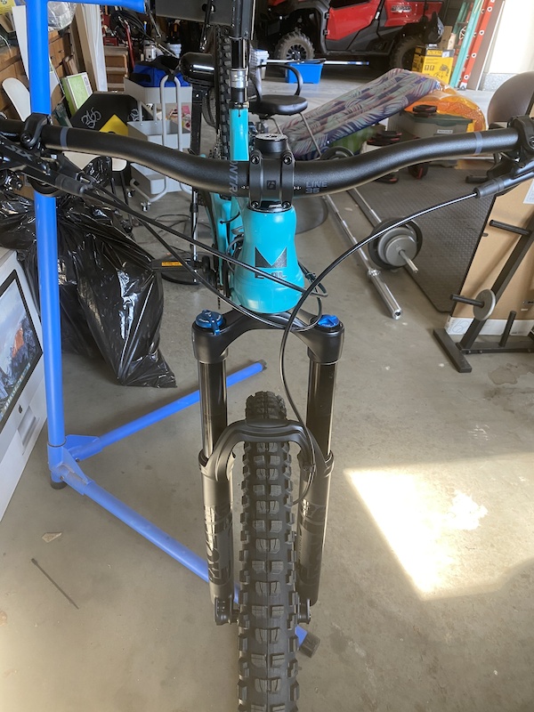 evil offering frank the tank