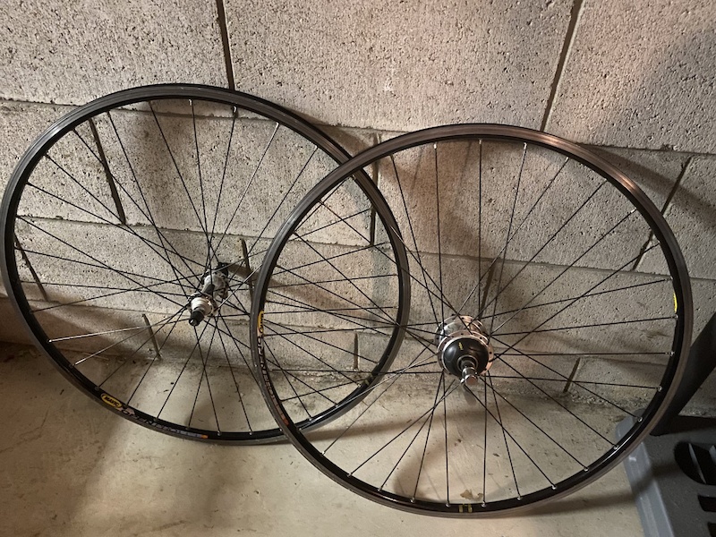 cycleops pt300