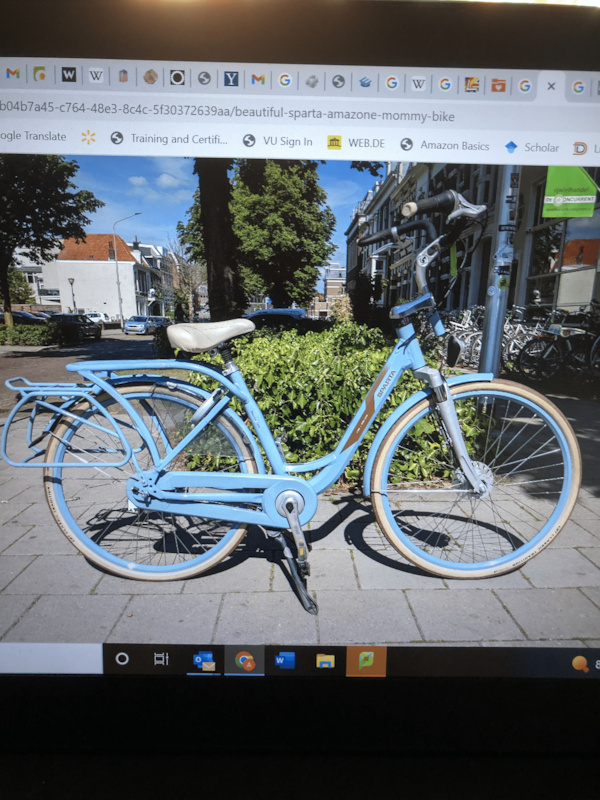 Sparta dutch online bike