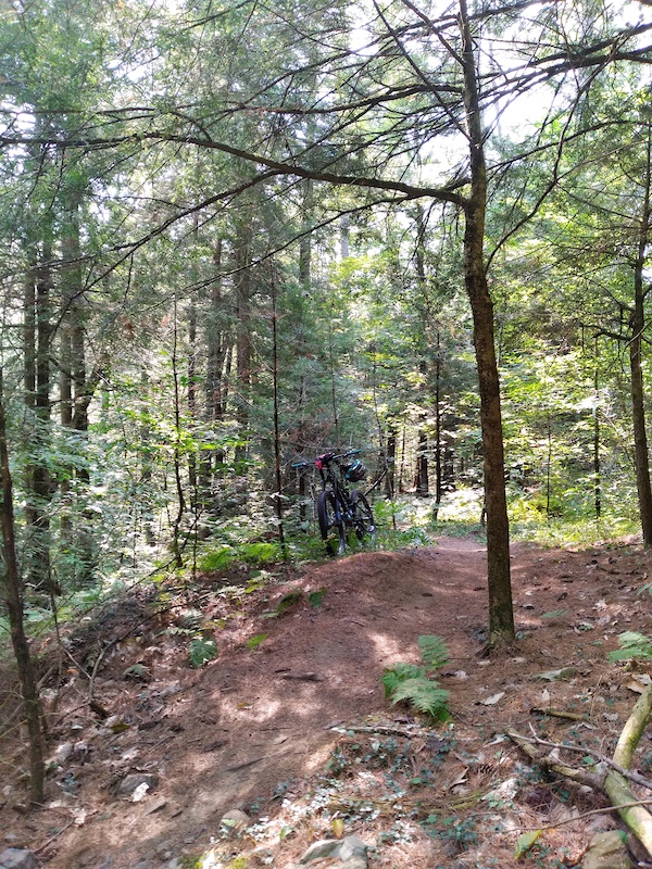 Outer Limits Mountain Biking Trail Essex, Vermont
