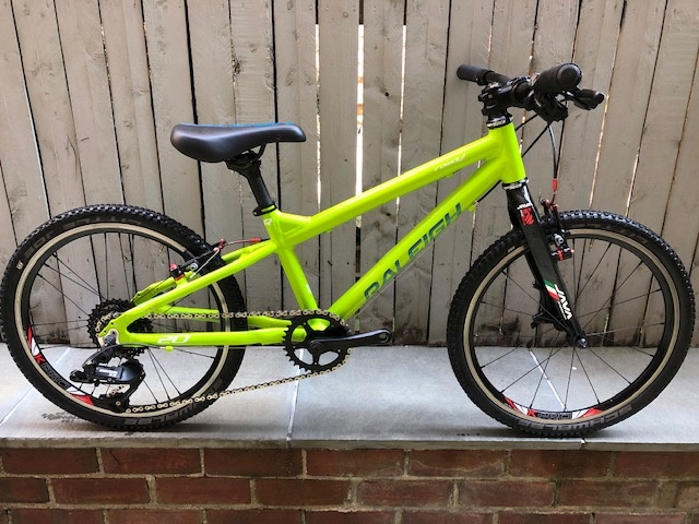 raleigh rowdy 20 green