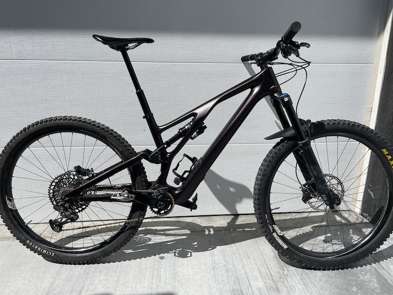 2022 Stumpjumper EVO - Expert For Sale