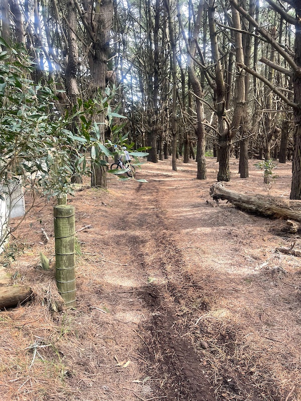 Scotts Ferry Loop Mountain Biking Trail Palmerston North