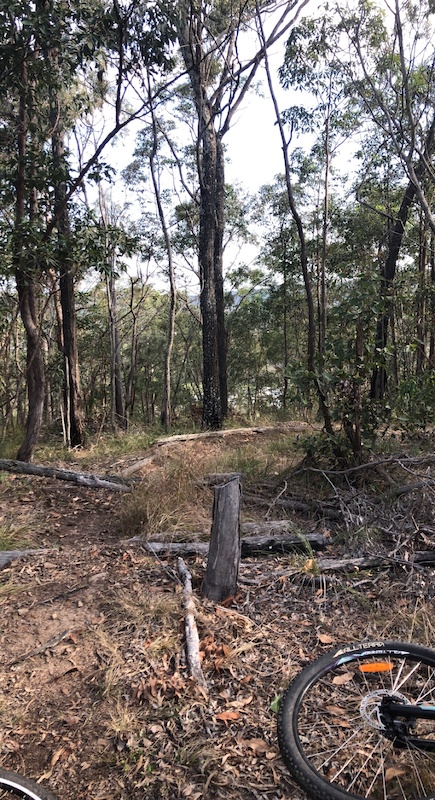 kelso mountain biking