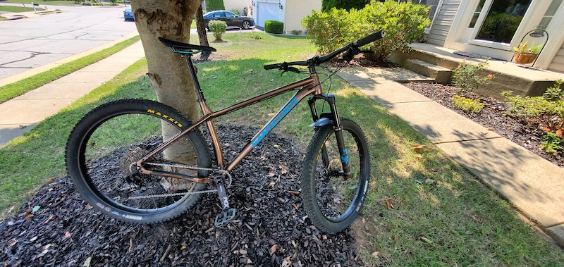 santa cruz chameleon r  for sale