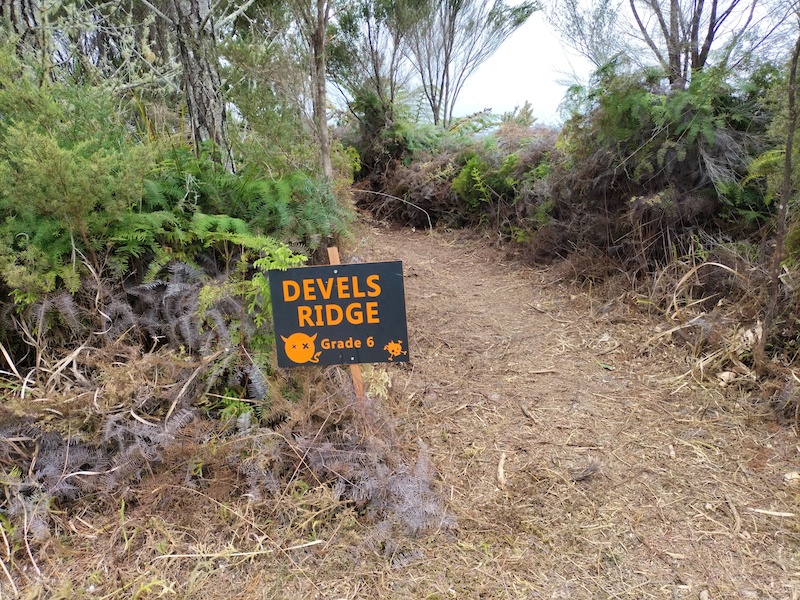 Defibne Ridge Devils Ridge Mountain Biking Trail - Whangarei