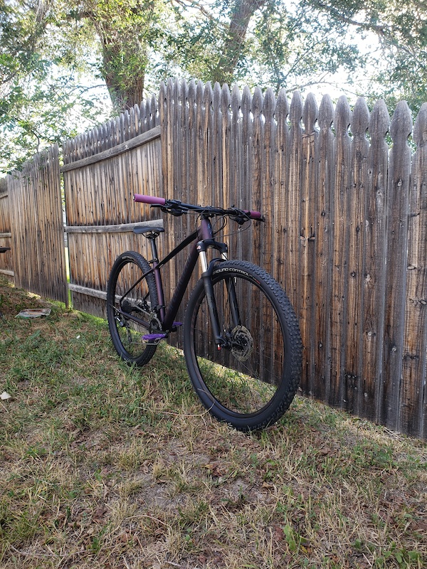 2019 Specialized RockHopper Expert 29