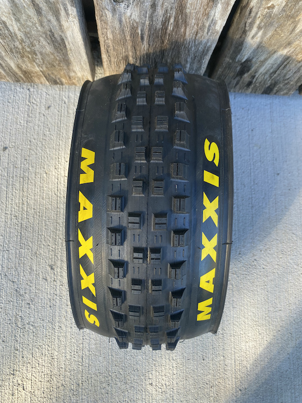 maxxis shorty 29 2.5 wt