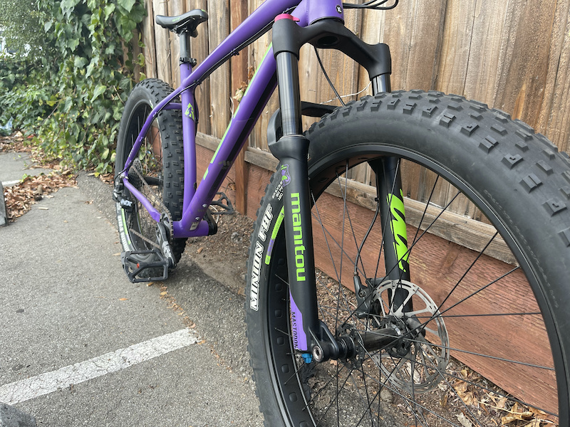 fat bike 2019