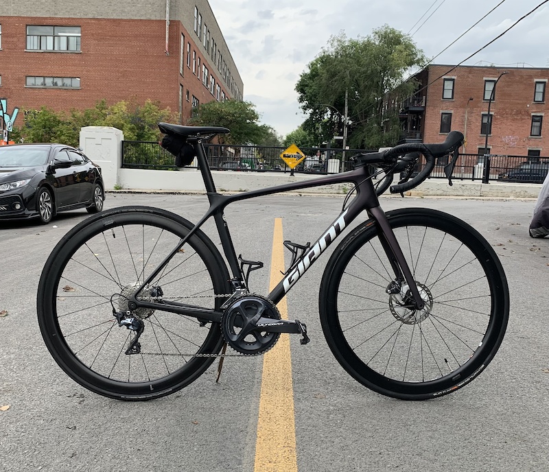 giant tcr rosewood