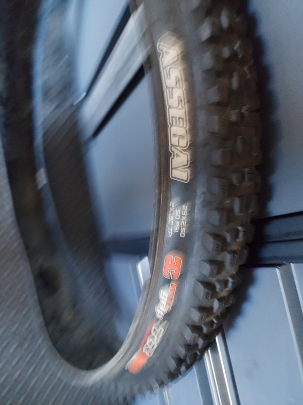 maxxis assegai 2.4