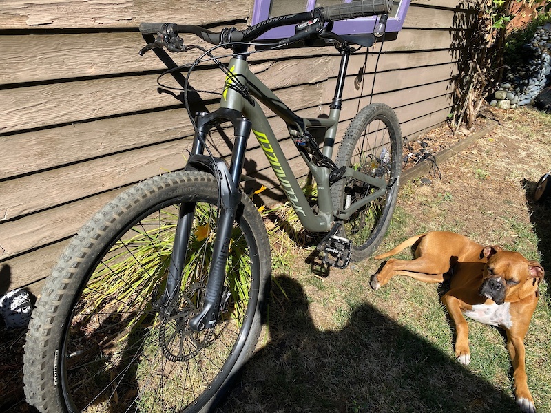 muddyfox bike lock