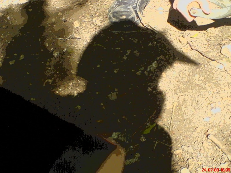 my shadow