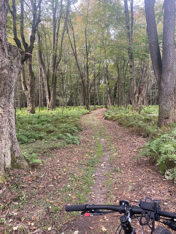 allegheny-front-trail-south-multi-trail-state-college