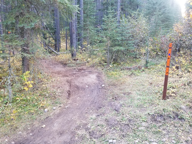 A Stone's Throw Mountain Biking Trail Bragg Creek
