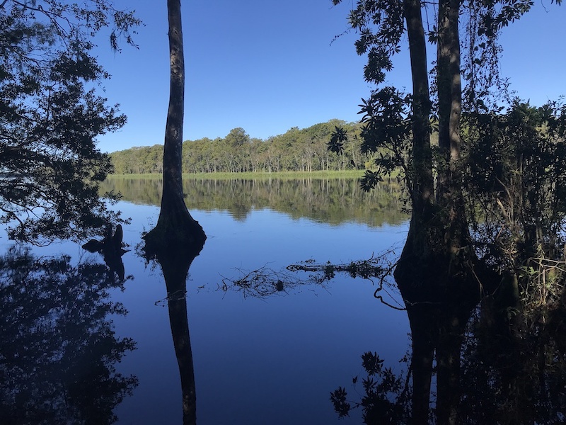 Gate 14 Fletchers Landing Multi Trail Suwannee, Florida