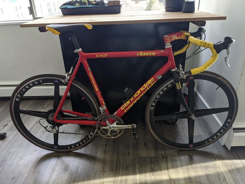 cannondale saeco for sale