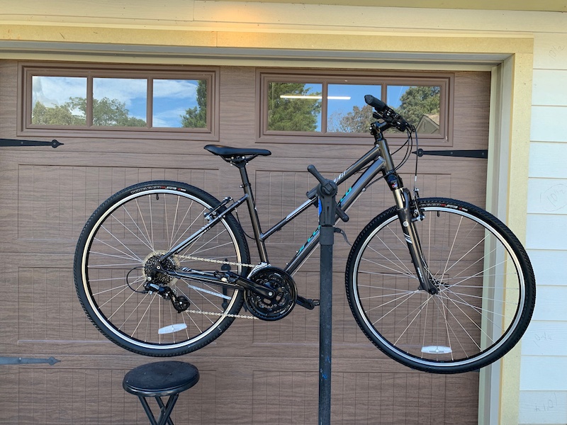 specialized ariel women's