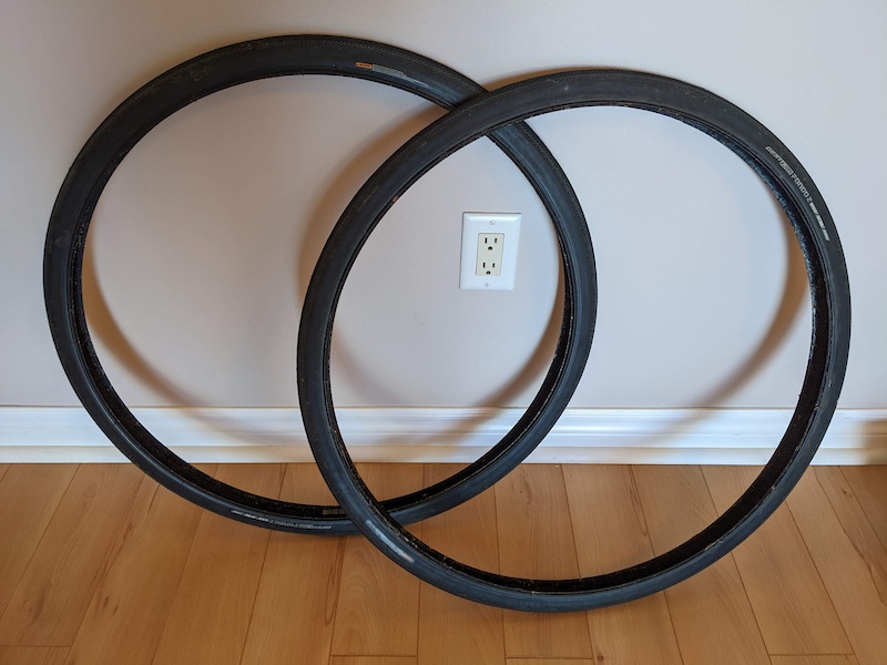 giant gavia tires