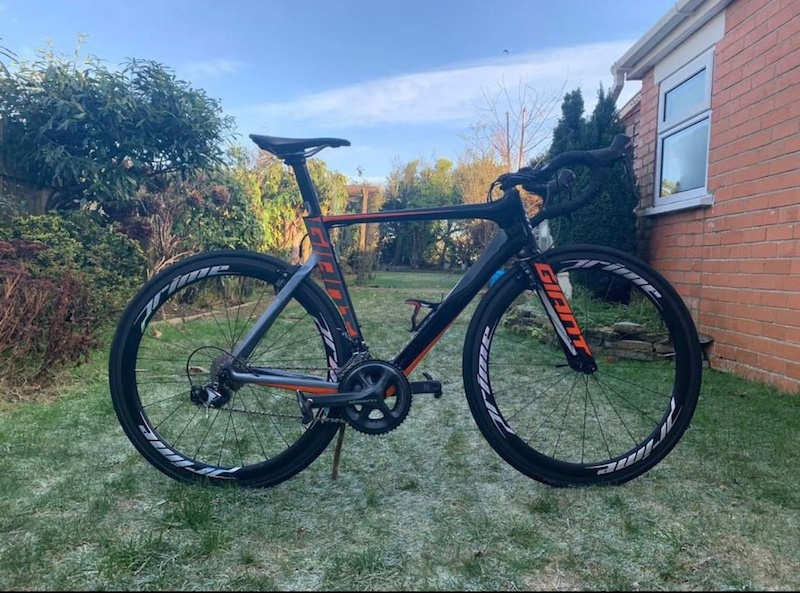 s works shiv tt 2019