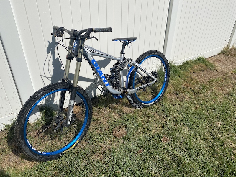 2010 Giant glory 00 For Sale