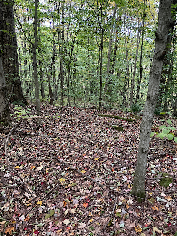 Mutton Hollow Trail Mountain Biking Trail Ellicottville