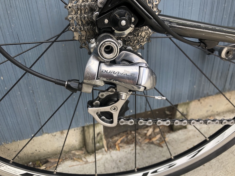 HS Portillae Dorito (xself )by Scott① Anthurium Portillae “Dorito