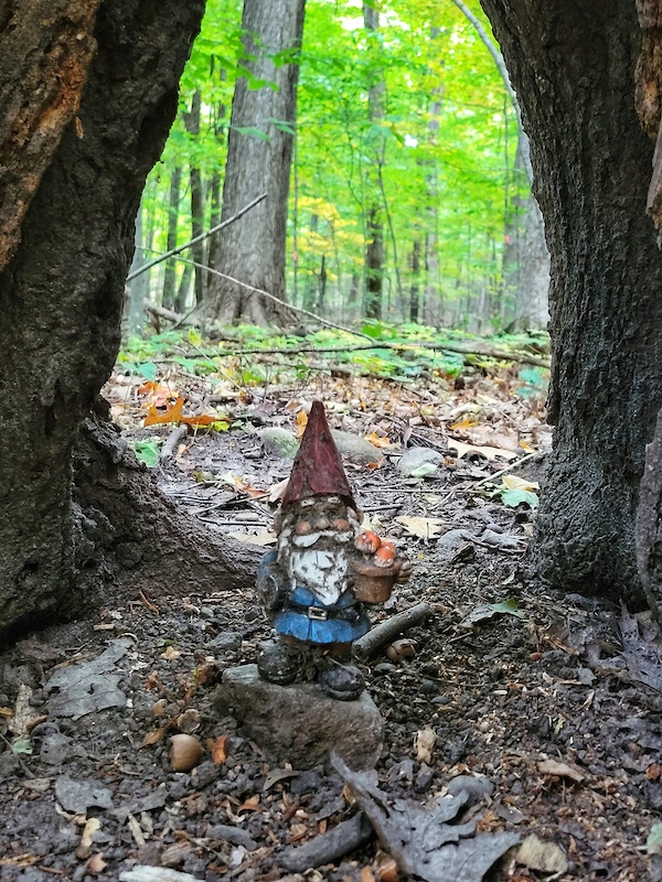 Camp Sinawa, Saint Nazianz Mountain Biking Trails Trailforks