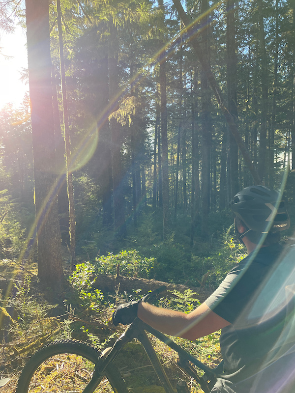Sneaky Beaver Mountain Biking Trail - Lake Cowichan